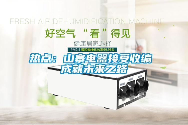 熱點：山寨電器接受收編 成就未來之路