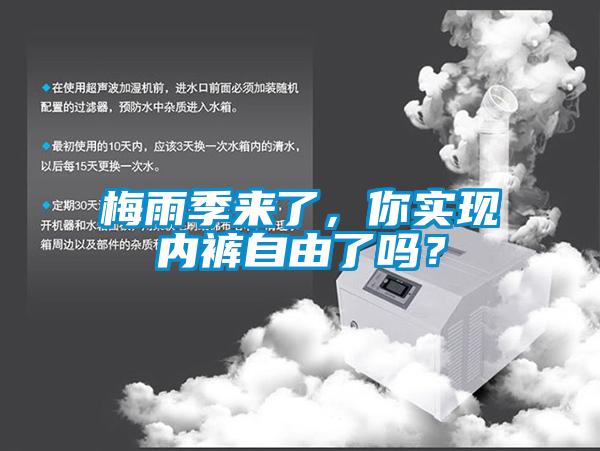 梅雨季來了，你實現內褲自由了嗎？