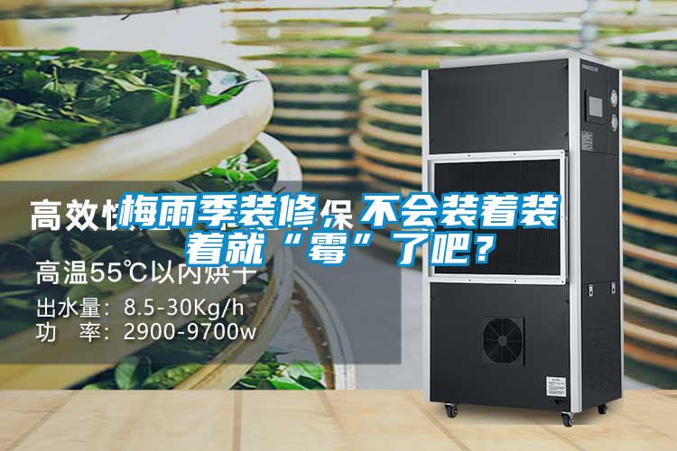 梅雨季裝修，不會裝著裝著就“霉”了吧？
