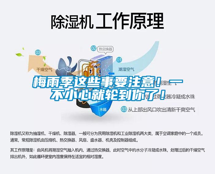 梅雨季這些事要注意！一不小心就輪到你了！