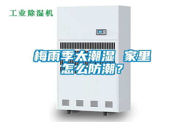 梅雨季太潮濕 家里怎么防潮？