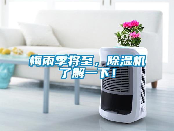 梅雨季將至，除濕機了解一下！