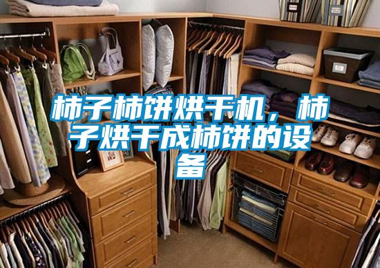 柿子柿餅烘干機，柿子烘干成柿餅的設備