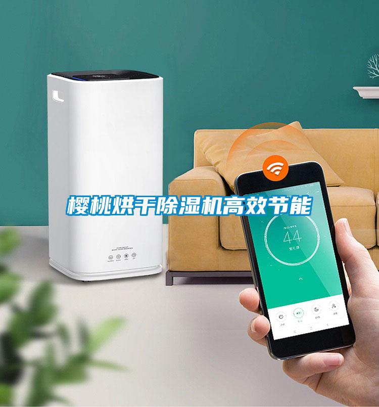 櫻桃烘干除濕機高效節(jié)能