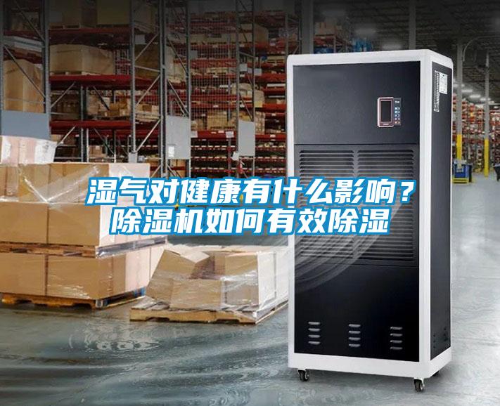 濕氣對(duì)健康有什么影響？除濕機(jī)如何有效除濕