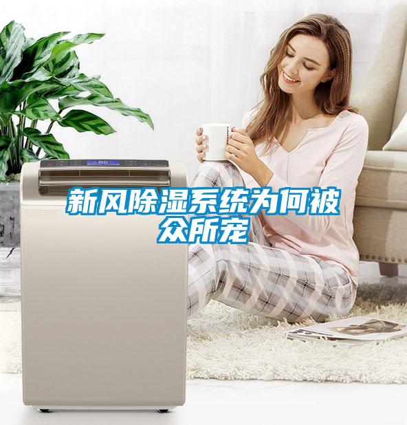 新風除濕系統為何被眾所寵
