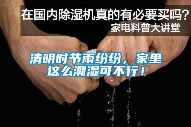 清明時(shí)節(jié)雨紛紛，家里這么潮濕可不行！
