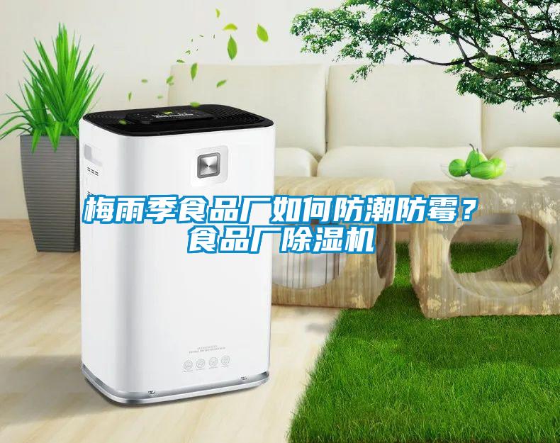 梅雨季食品廠如何防潮防霉？食品廠除濕機(jī)