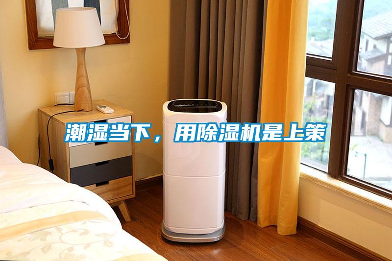 潮濕當(dāng)下，用除濕機(jī)是上策
