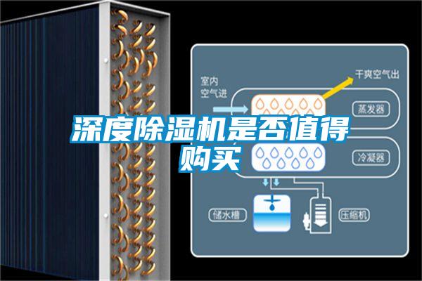 深度除濕機是否值得購買