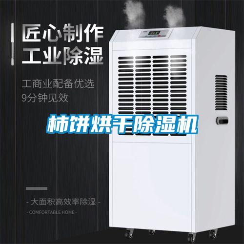 柿餅烘干除濕機(jī)