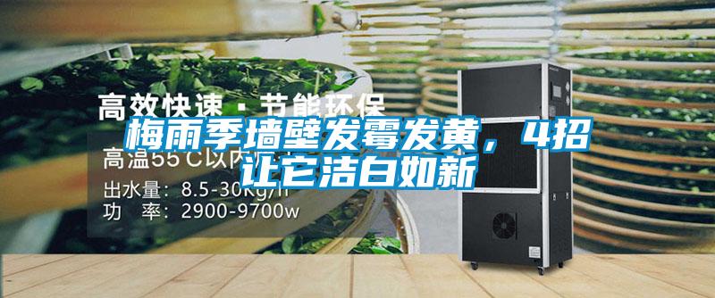 梅雨季墻壁發霉發黃，4招讓它潔白如新