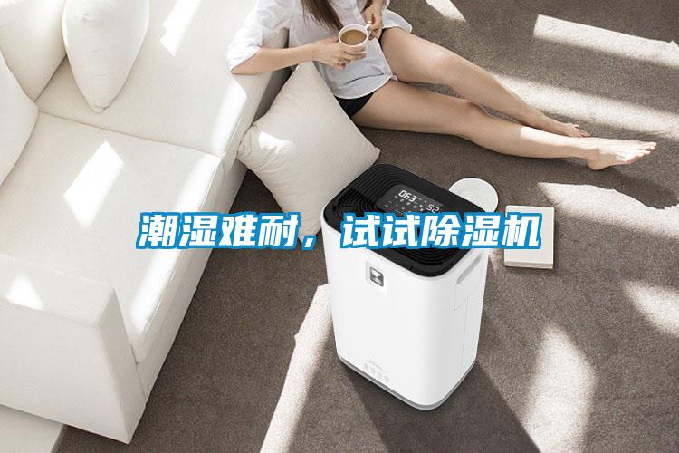 潮濕難耐，試試除濕機(jī)
