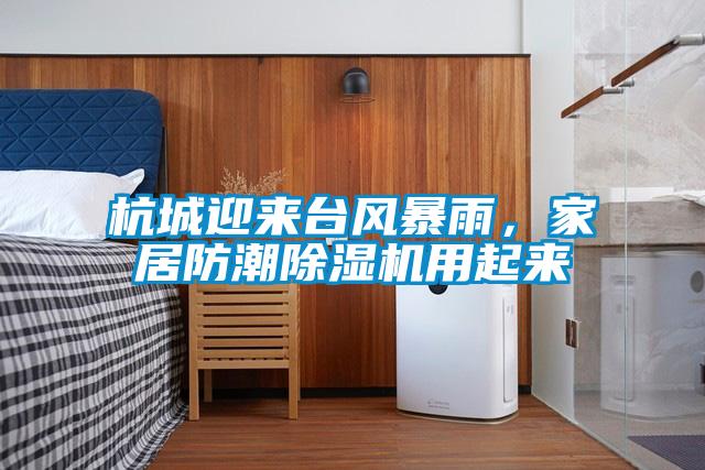 杭城迎來(lái)臺(tái)風(fēng)暴雨，家居防潮除濕機(jī)用起來(lái)