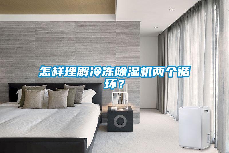 怎樣理解冷凍除濕機兩個循環？