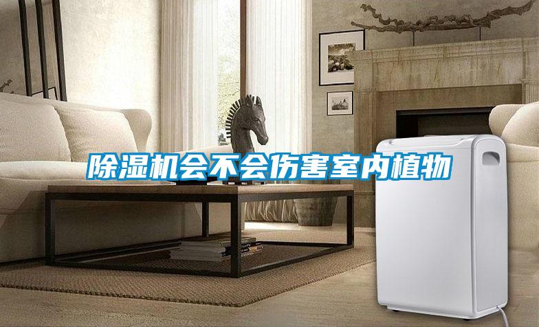 除濕機會不會傷害室內植物
