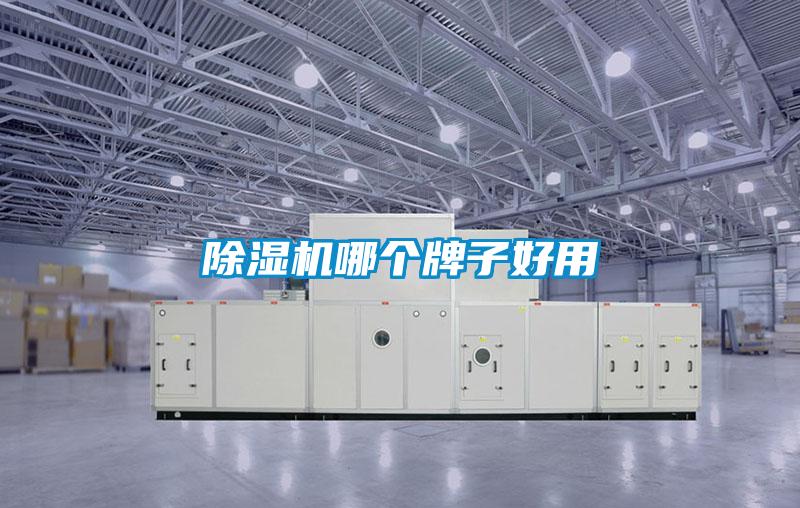 除濕機哪個牌子好用