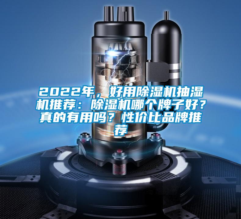 2022年，好用除濕機抽濕機推薦：除濕機哪個牌子好？真的有用嗎？性價比品牌推薦
