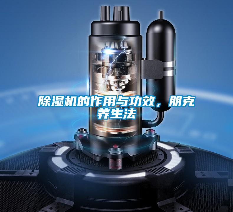 除濕機的作用與功效，朋克養生法