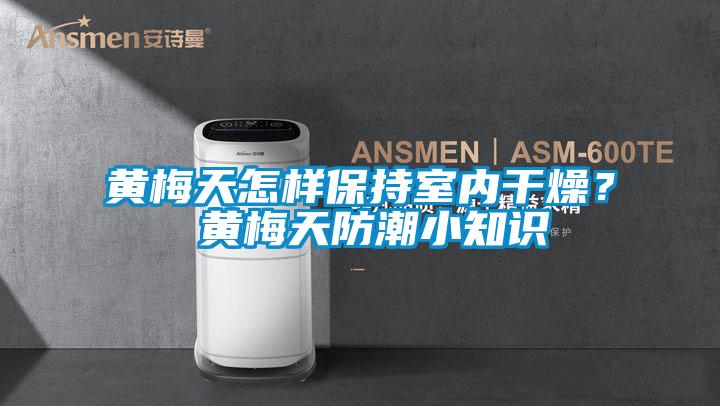 黃梅天怎樣保持室內干燥？ 黃梅天防潮小知識