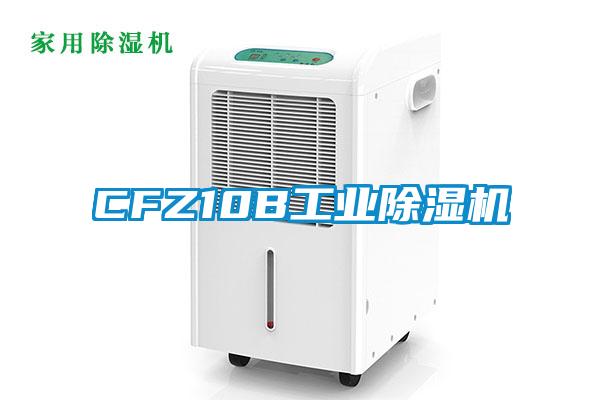 CFZ10B工業(yè)除濕機(jī)