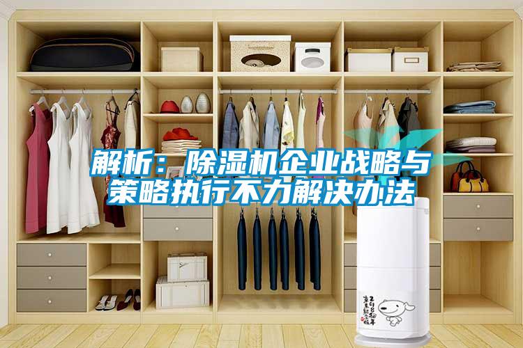 解析：除濕機企業(yè)戰(zhàn)略與策略執(zhí)行不力解決辦法