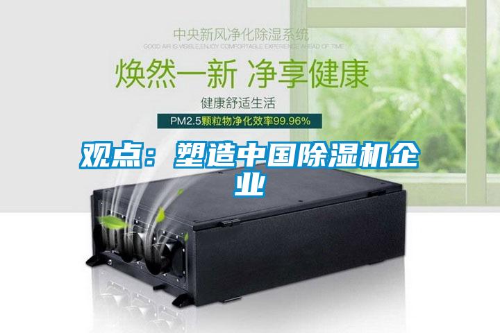 觀點：塑造中國除濕機企業(yè)