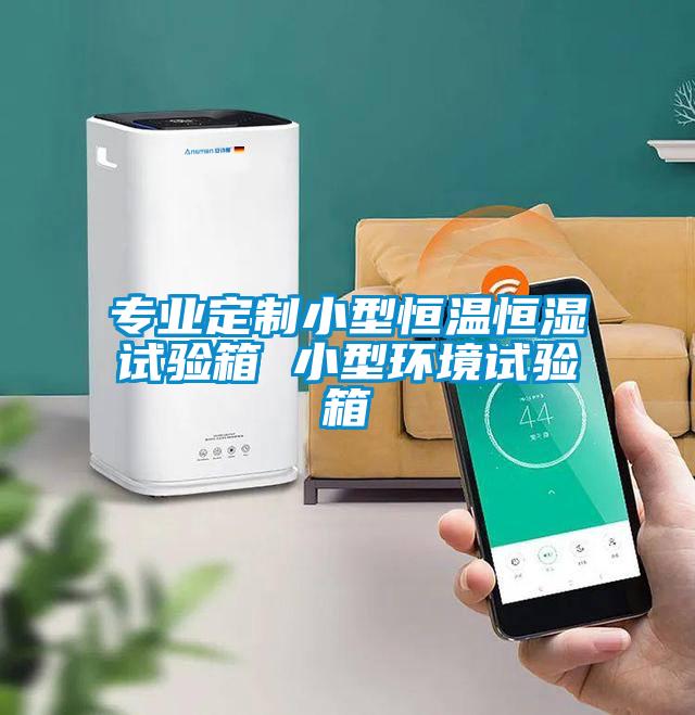 專業(yè)定制小型恒溫恒濕試驗(yàn)箱 小型環(huán)境試驗(yàn)箱