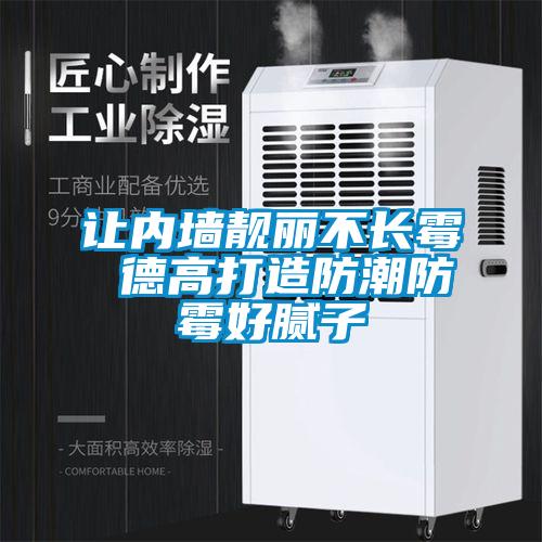 讓內墻靚麗不長霉 德高打造防潮防霉好膩子