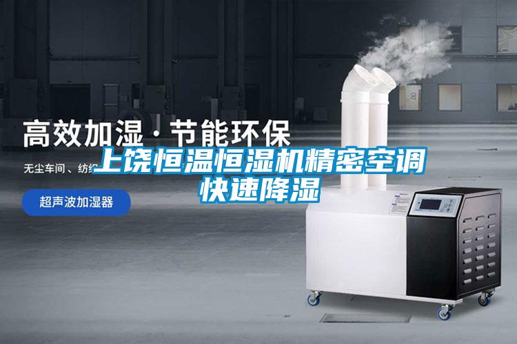 上饒恒溫恒濕機(jī)精密空調(diào)快速降濕