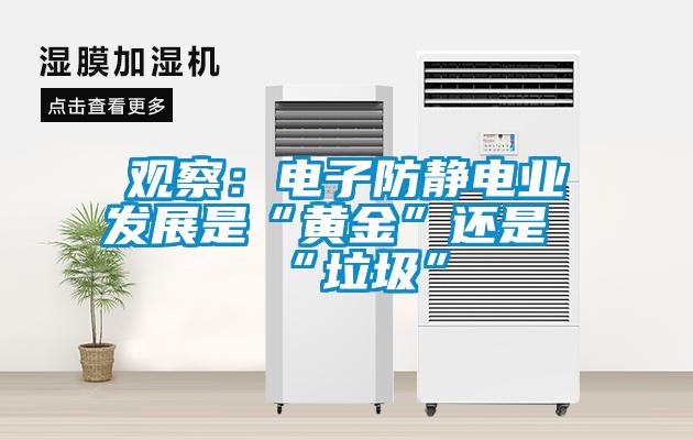 觀察：電子防靜電業發展是“黃金”還是“垃圾”