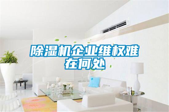 除濕機企業維權難在何處