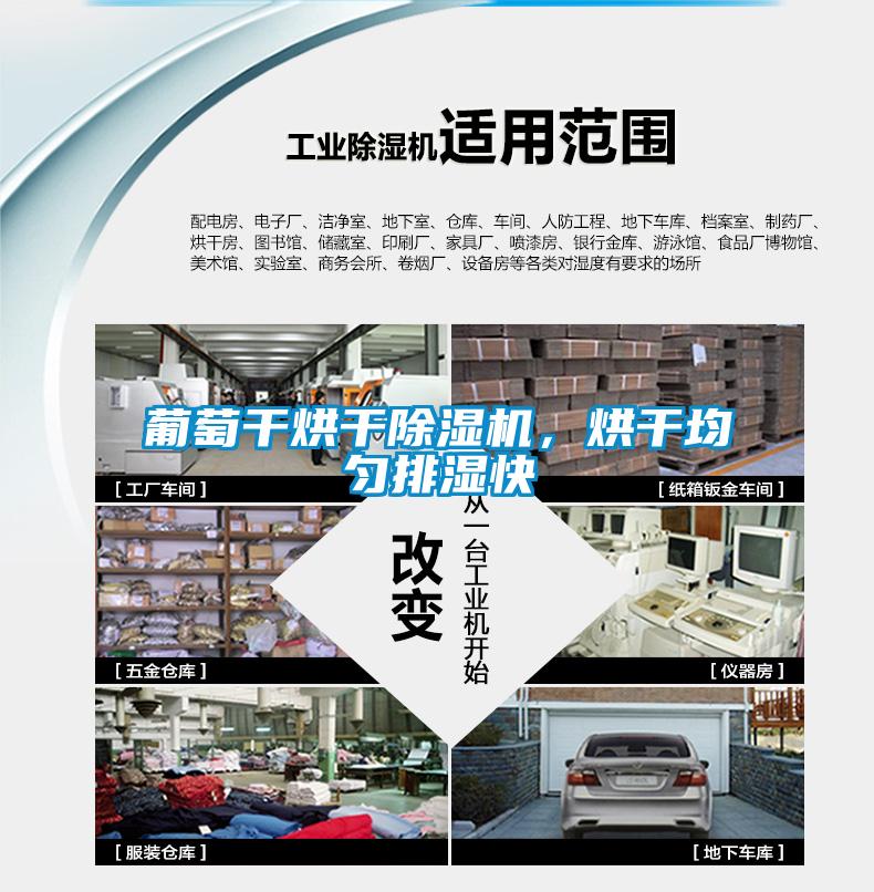 葡萄干烘干除濕機，烘干均勻排濕快