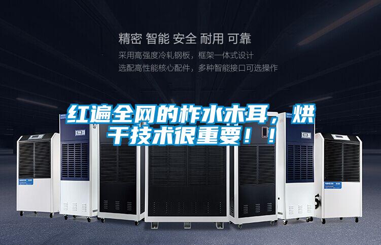 紅遍全網的柞水木耳，烘干技術很重要??！