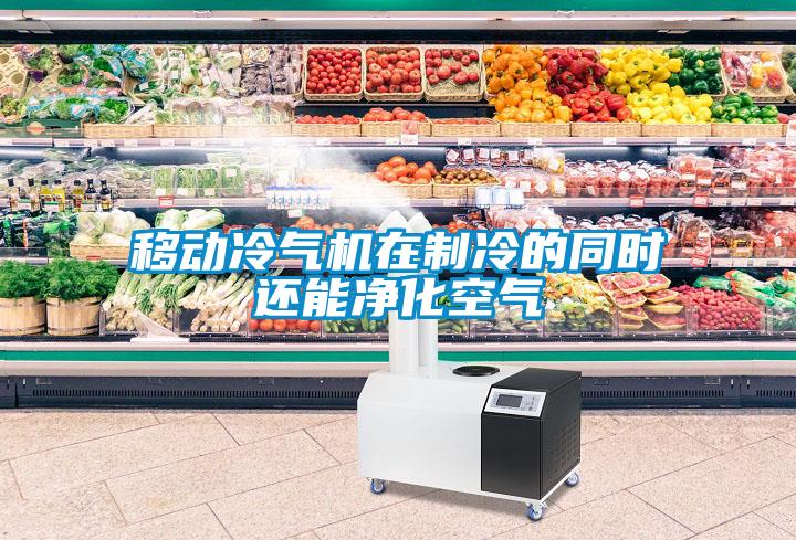 移動冷氣機在制冷的同時還能凈化空氣