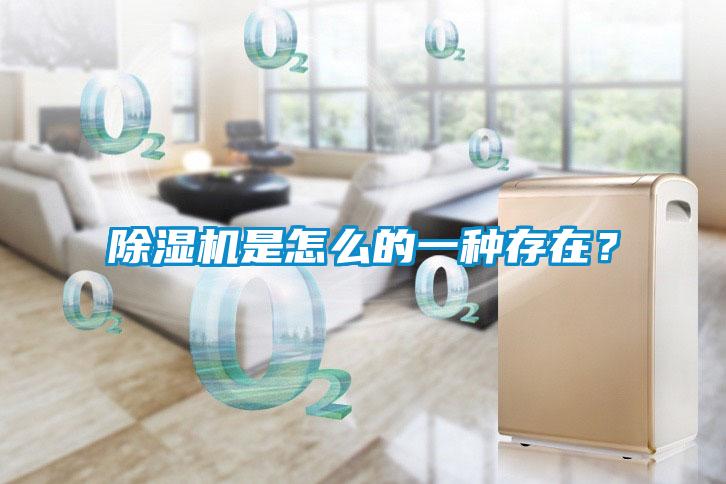 除濕機(jī)是怎么的一種存在？