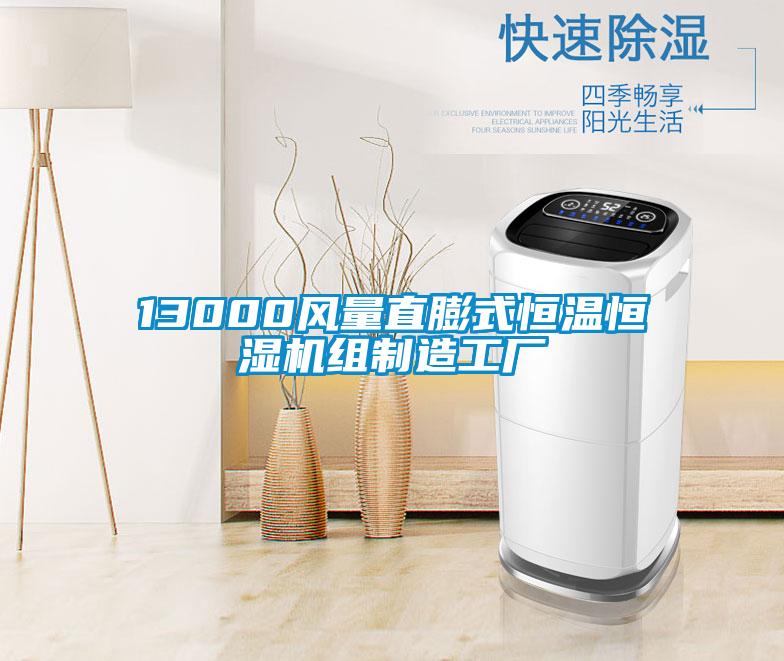 13000風量直膨式恒溫恒濕機組制造工廠