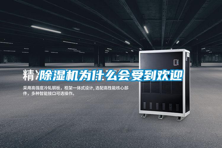 除濕機為什么會受到歡迎