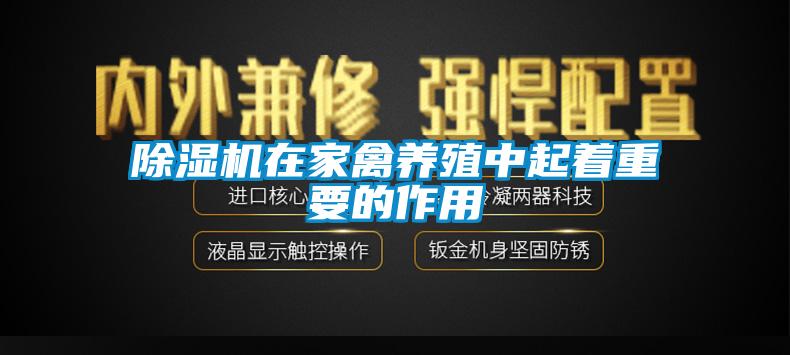 除濕機(jī)在家禽養(yǎng)殖中起著重要的作用