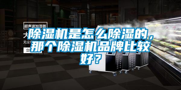 除濕機是怎么除濕的，那個除濕機品牌比較好？