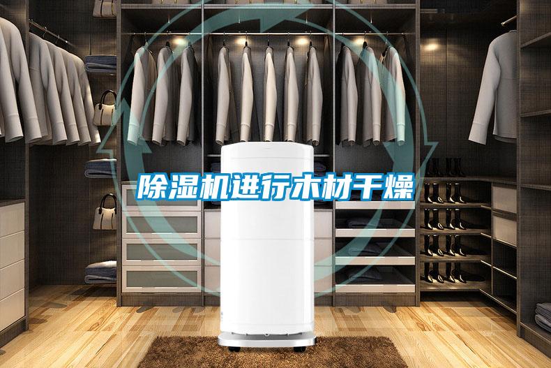 除濕機(jī)進(jìn)行木材干燥