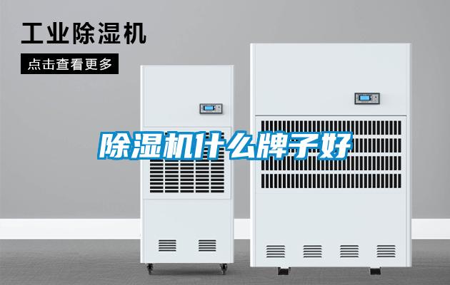 除濕機什么牌子好