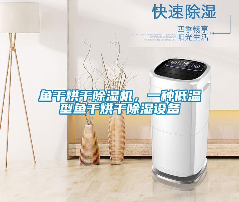 魚干烘干除濕機，一種低溫型魚干烘干除濕設(shè)備