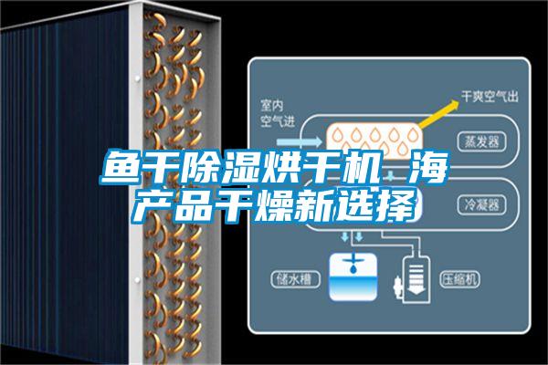 魚干除濕烘干機(jī) 海產(chǎn)品干燥新選擇