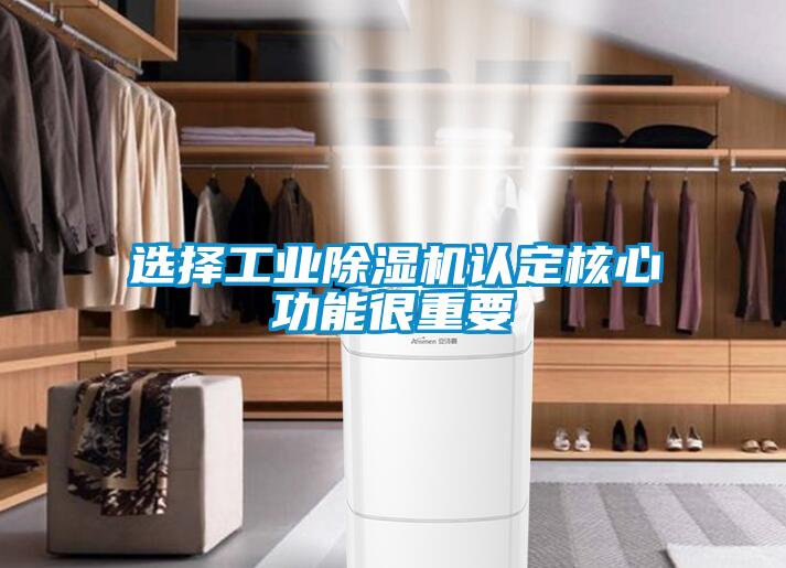 選擇工業(yè)除濕機(jī)認(rèn)定核心功能很重要
