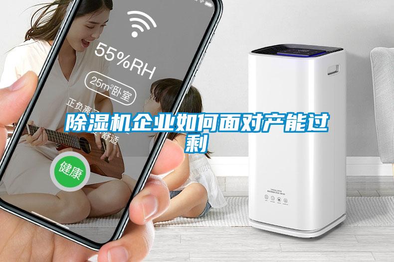 除濕機企業如何面對產能過剩