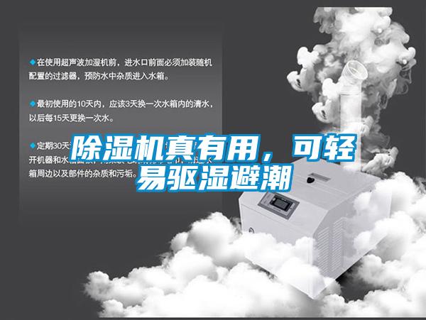除濕機真有用，可輕易驅濕避潮