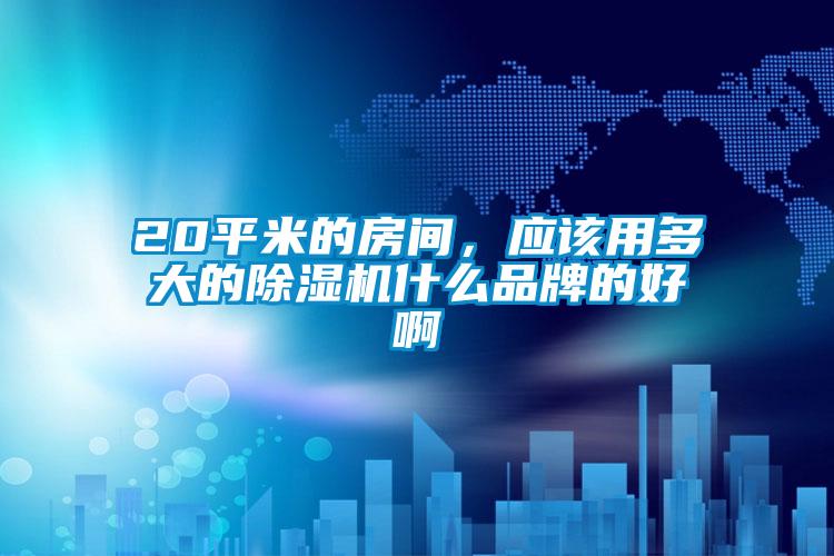 20平米的房間，應該用多大的除濕機什么品牌的好啊