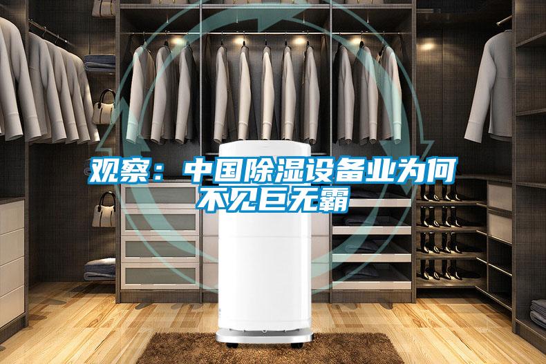 觀察：中國除濕設備業為何不見巨無霸