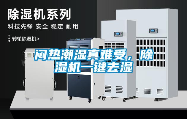 悶熱潮濕真難受，除濕機(jī)一鍵去濕